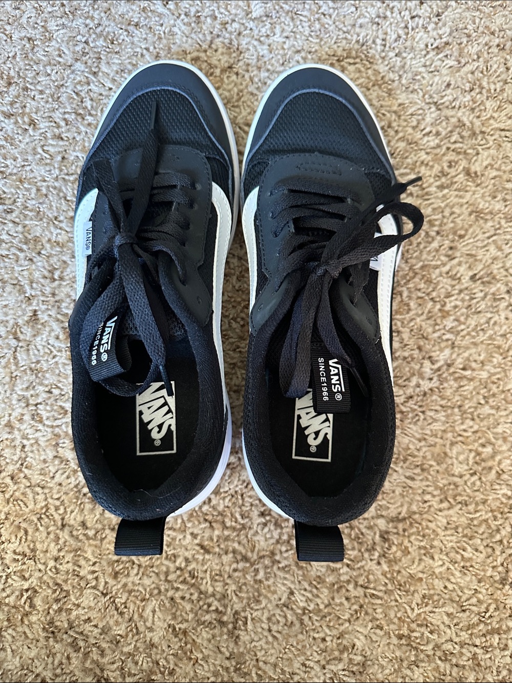 Vans Sneakers- youth 6 or women’s 7.5